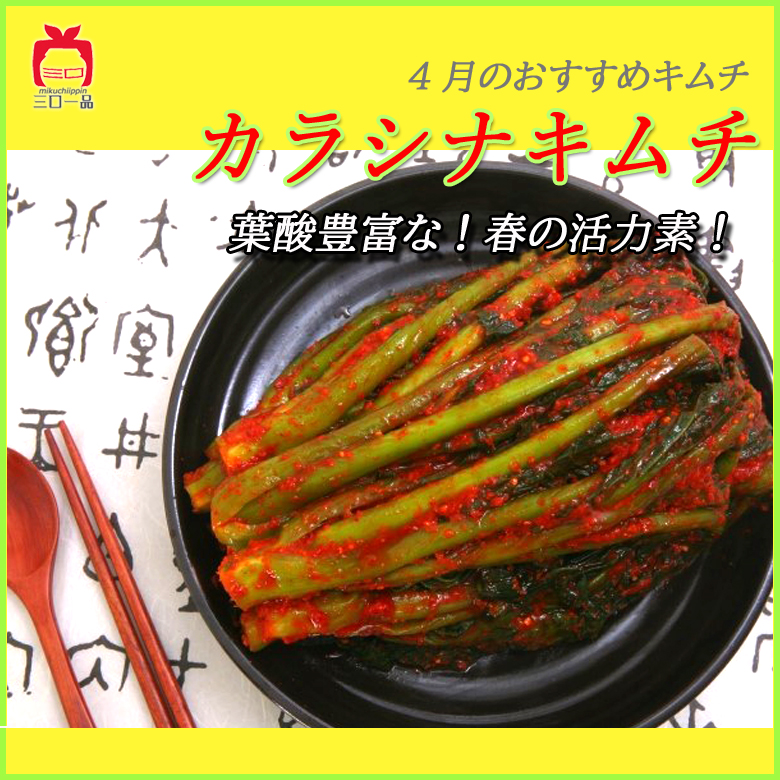4月のおすすめ-芥子菜